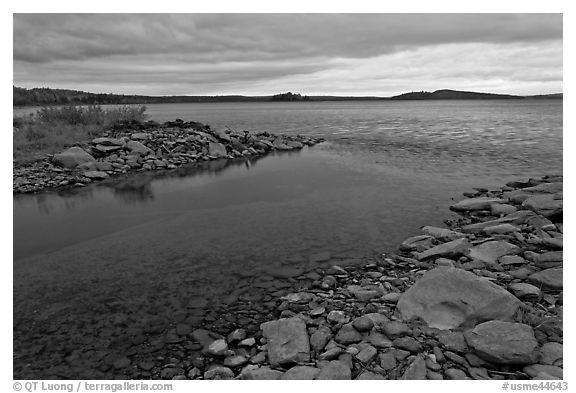 Eagle Lake channel with tea-brown waters near Tramway site. Allagash Wilderness Waterway, Maine, USA (black and white)