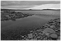 Eagle Lake channel with tea-brown waters near Tramway site. Allagash Wilderness Waterway, Maine, USA ( black and white)
