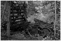 Remnants of railroad cars in the forest. Allagash Wilderness Waterway, Maine, USA ( black and white)