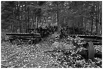 Remnants of abandonned railway equipement. Allagash Wilderness Waterway, Maine, USA (black and white)