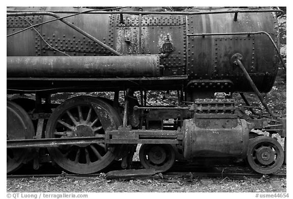 Rusting steamer in the woods. Allagash Wilderness Waterway, Maine, USA (black and white)