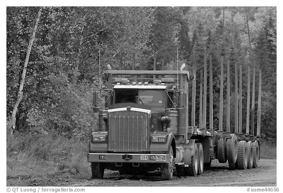 Empty log-carrying truck. Maine, USA