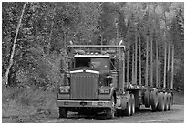 Empty log-carrying truck. Maine, USA (black and white)