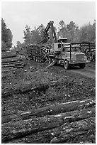 Forestry site with working log truck and log loader. Maine, USA ( black and white)