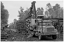 Logging truck loaded by log loader truck. Maine, USA ( black and white)