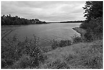 Churchill Lake. Allagash Wilderness Waterway, Maine, USA ( black and white)