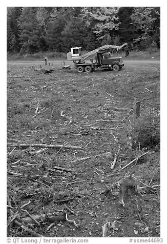Clearfelt area with forestry truck and trailer. Maine, USA