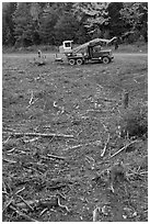 Clearfelt area with forestry truck and trailer. Maine, USA (black and white)