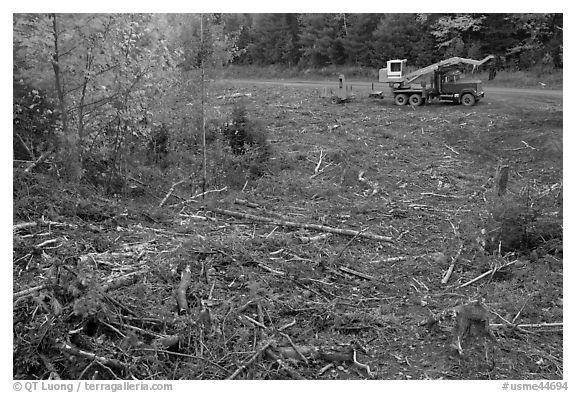 Deforested area and forestry truck and trailer. Maine, USA