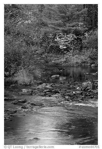 Stream and autumn reflections. Maine, USA (black and white)
