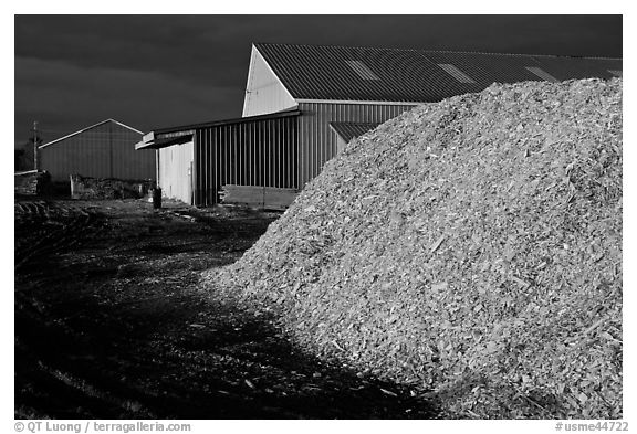 Sawdust in lumber mill at night, Ashland. Maine, USA (black and white)