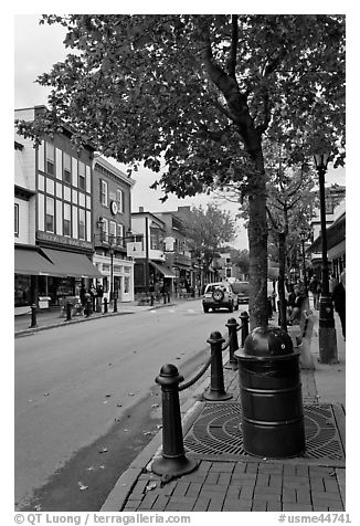 Main street. Bar Harbor, Maine, USA (black and white)