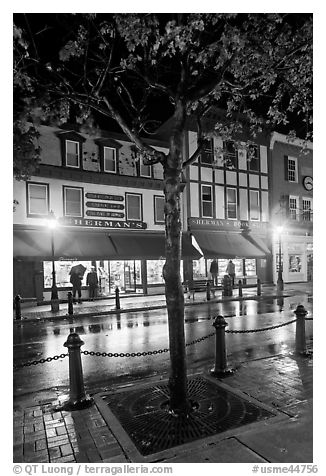 Sherman's bookstore, oldest in Maine, at night. Bar Harbor, Maine, USA (black and white)