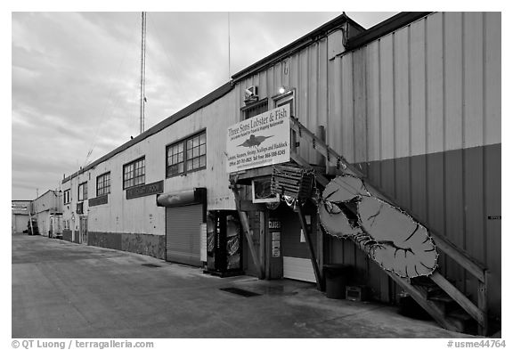 Lobster company building. Portland, Maine, USA (black and white)