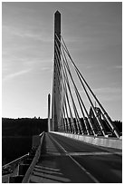 Penobscot Narrows Bridge from Verona Island. Maine, USA (black and white)