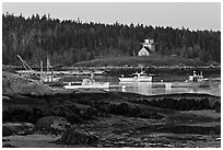 Fishing boats and forest. Stonington, Maine, USA ( black and white)