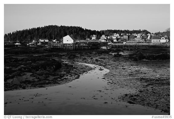 Tidal flats and houses, sunrise. Stonington, Maine, USA (black and white)