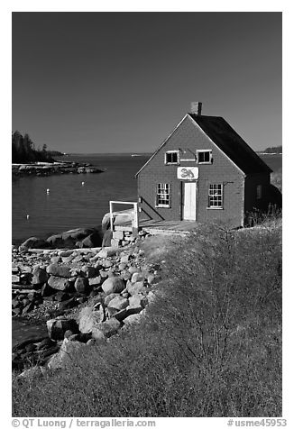 Lobstering shack. Stonington, Maine, USA (black and white)