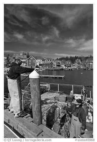 Commercial lobstermen. Stonington, Maine, USA