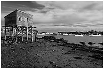 Tidal flats and harbor. Corea, Maine, USA ( black and white)