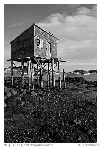 Shack on stills and harbor. Corea, Maine, USA (black and white)