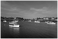 Traditional lobster fishing fleet. Corea, Maine, USA (black and white)
