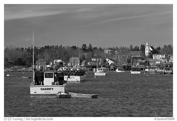 Traditional lobster fishing harbor. Corea, Maine, USA (black and white)