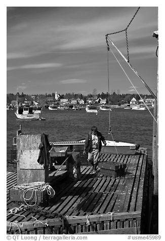 Man preparing to lift box from deck. Corea, Maine, USA (black and white)