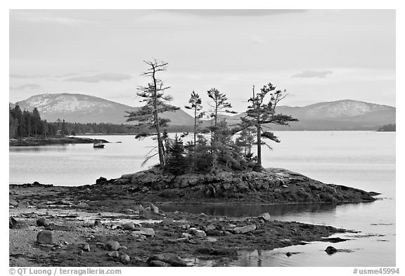 Islet with trees and low tide, and Frenchman Bay. Maine, USA