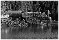 Pier loaded with lobster traps. Isle Au Haut, Maine, USA (black and white)