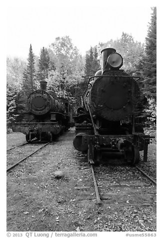 Two locomotives in the woods. Allagash Wilderness Waterway, Maine, USA
