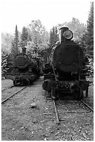 Two locomotives in the woods. Allagash Wilderness Waterway, Maine, USA (black and white)