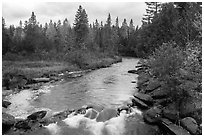 Stream in autumn forest. Allagash Wilderness Waterway, Maine, USA (black and white)
