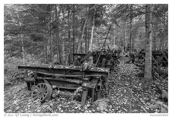 Rusting railway equipment in the woods. Allagash Wilderness Waterway, Maine, USA (black and white)