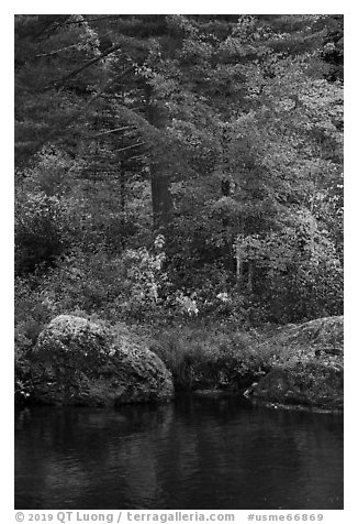 Rocks and trees in fall foliage reflected in East Branch Penobscot River. Katahdin Woods and Waters National Monument, Maine, USA (black and white)