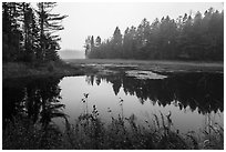 Pond in fog, Sandbank Stream. Katahdin Woods and Waters National Monument, Maine, USA ( black and white)