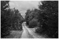 Katahdin Loop Road in autumn. Katahdin Woods and Waters National Monument, Maine, USA ( black and white)