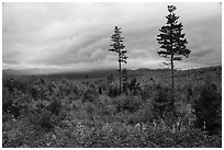 View from Loop Road Overlook. Katahdin Woods and Waters National Monument, Maine, USA ( black and white)