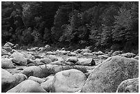 Huge boulders and Wassatotaquoik Stream in autumn. Katahdin Woods and Waters National Monument, Maine, USA ( black and white)