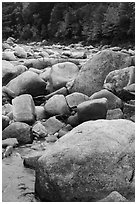 Boulders and Wassatotaquoik Stream in the fall. Katahdin Woods and Waters National Monument, Maine, USA ( black and white)