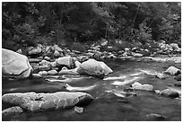 Wassatotaquoik Stream in autumn. Katahdin Woods and Waters National Monument, Maine, USA ( black and white)