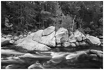 Orin Falls in autumn. Katahdin Woods and Waters National Monument, Maine, USA ( black and white)