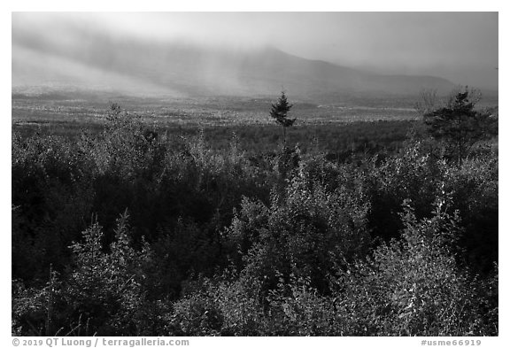 View from Loop Road Overlook over mountain hidden by clouds. Katahdin Woods and Waters National Monument, Maine, USA (black and white)