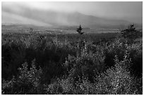 View from Loop Road Overlook over mountain hidden by clouds. Katahdin Woods and Waters National Monument, Maine, USA ( black and white)