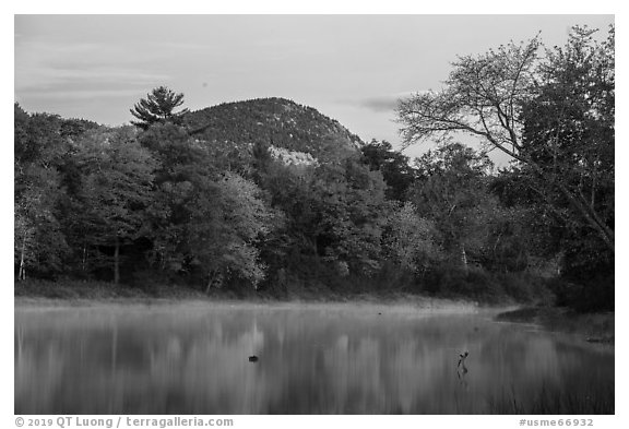 East Branch Penobscot River and Desey Mountain at dawn in autumn. Katahdin Woods and Waters National Monument, Maine, USA (black and white)
