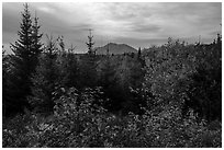 First view of Katahdin in autumn. Katahdin Woods and Waters National Monument, Maine, USA ( black and white)
