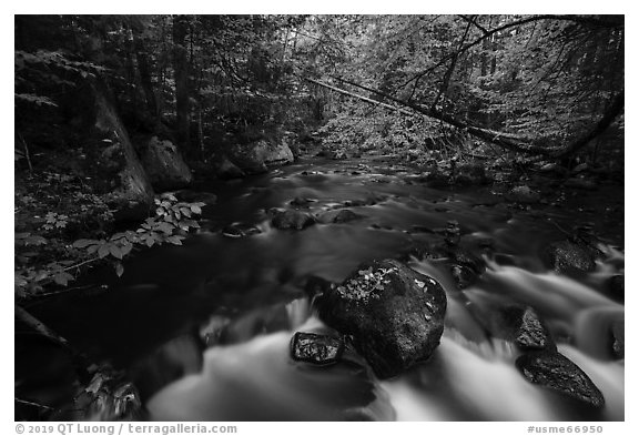 Cascade, Katahdin Brook. Katahdin Woods and Waters National Monument, Maine, USA (black and white)