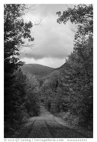 Road and mountain in autumn. Katahdin Woods and Waters National Monument, Maine, USA (black and white)