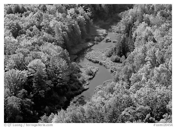River with curve and fall forest from above, Porcupine Mountains State Park. Upper Michigan Peninsula, USA (black and white)