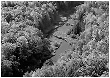 River with curve and fall forest from above, Porcupine Mountains State Park. Upper Michigan Peninsula, USA ( black and white)